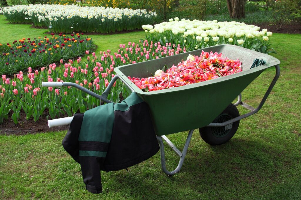 Organize Backyard & Gardening Organize Backyard & Gardening