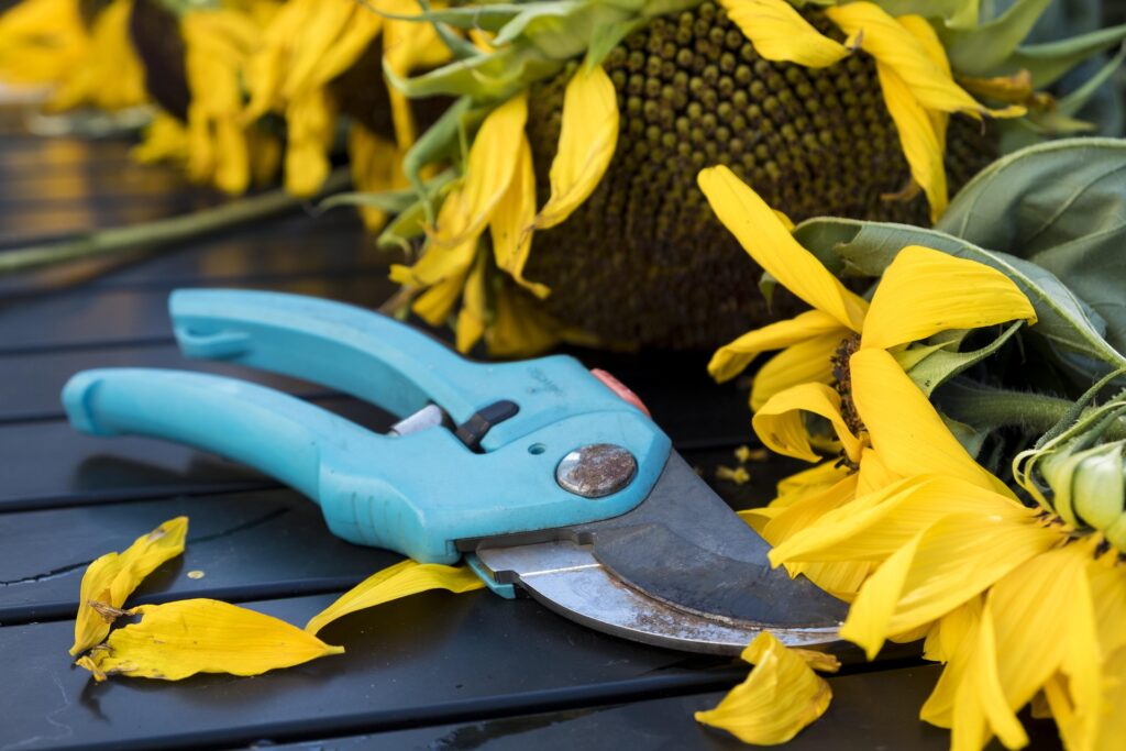 Organize Backyard & Gardening Organize Backyard & Gardening
