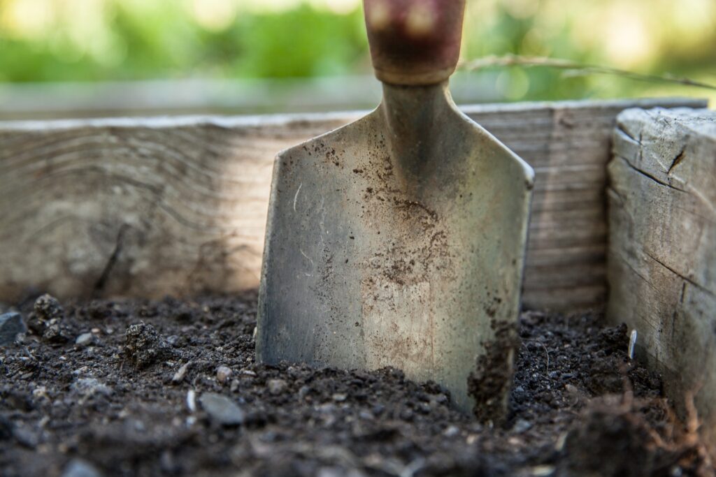 Organize Backyard & Gardening Organize Backyard & Gardening