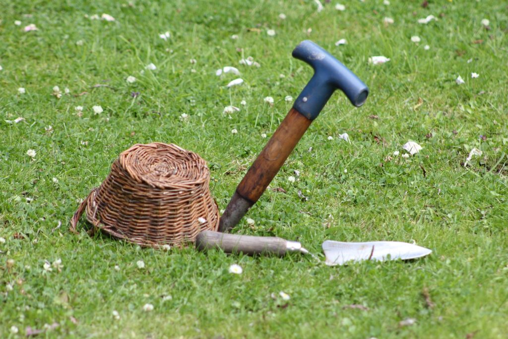 Organize Backyard & Gardening Organize Backyard & Gardening
