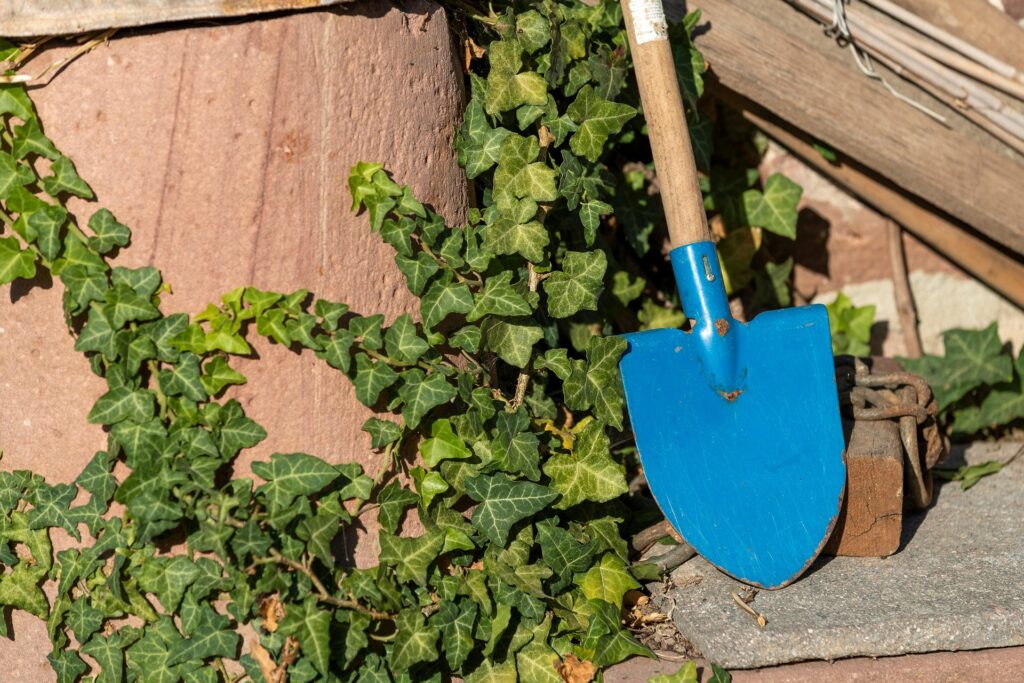 Organize Backyard & Gardening Organize Backyard & Gardening