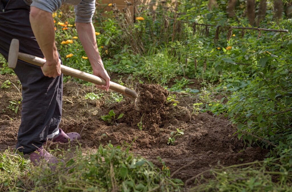 Organize Backyard & Gardening Organize Backyard & Gardening