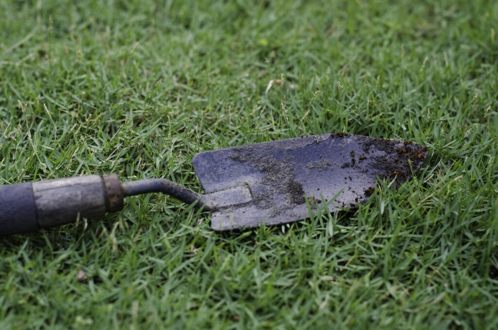 Organize Backyard & Gardening