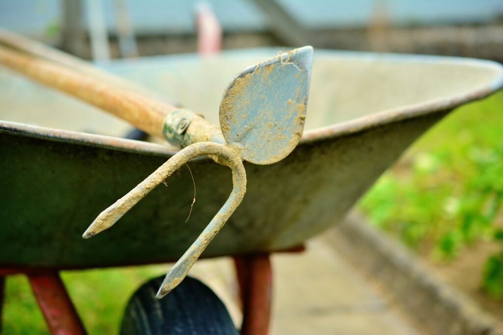 Organize Backyard & Gardening Organize Backyard & Gardening