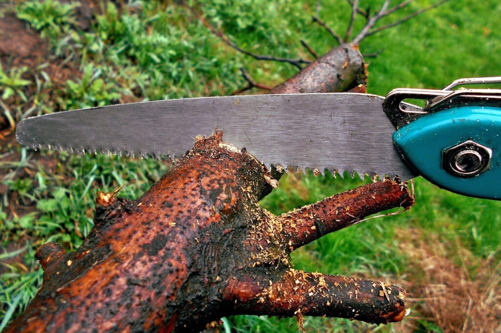 Organize Backyard & Gardening Organize Backyard & Gardening
