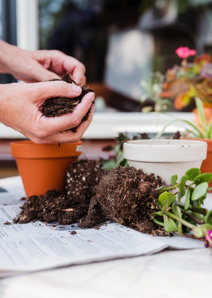 Organize Backyard & Gardening Organize Backyard & Gardening