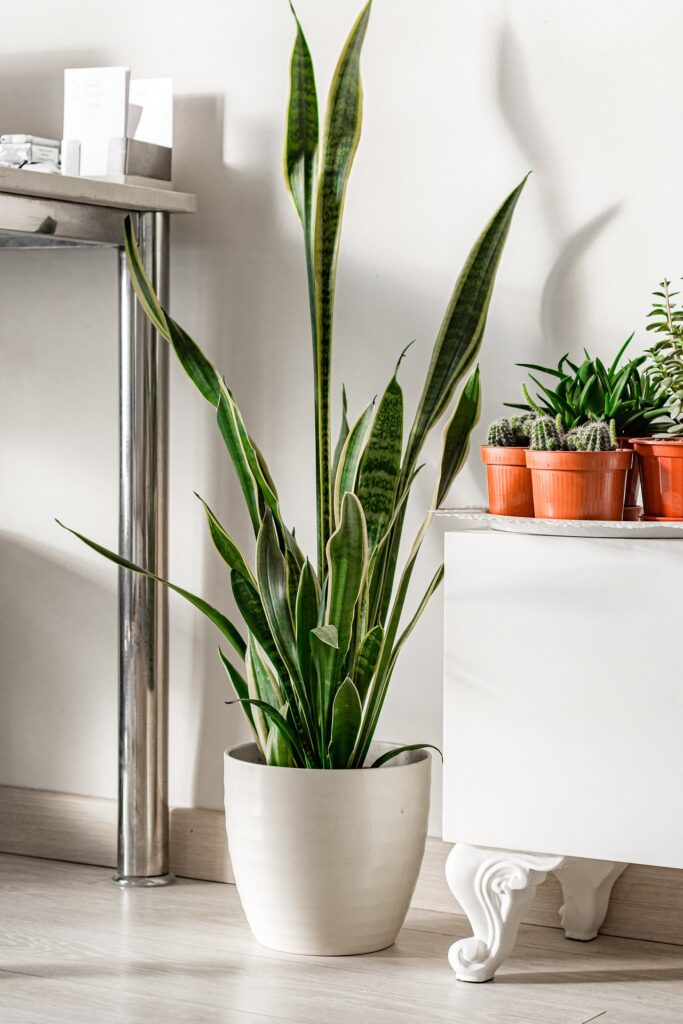 The Ultimate Guide to Choosing Bedroom Accessories for Comfort and Style The Ultimate Guide to Choosing Bedroom Accessories for Comfort and Style