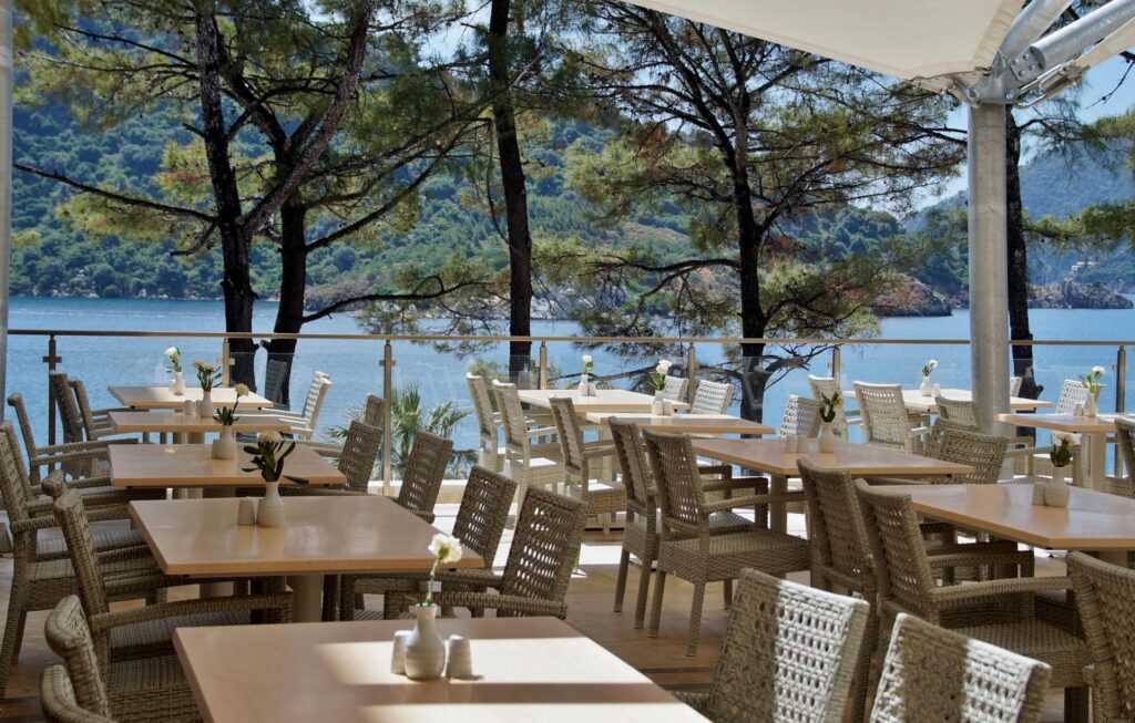 Your Ultimate Guide to the Best Healthy Restaurants Near Me Your Ultimate Guide to the Best Healthy Restaurants Near Me
